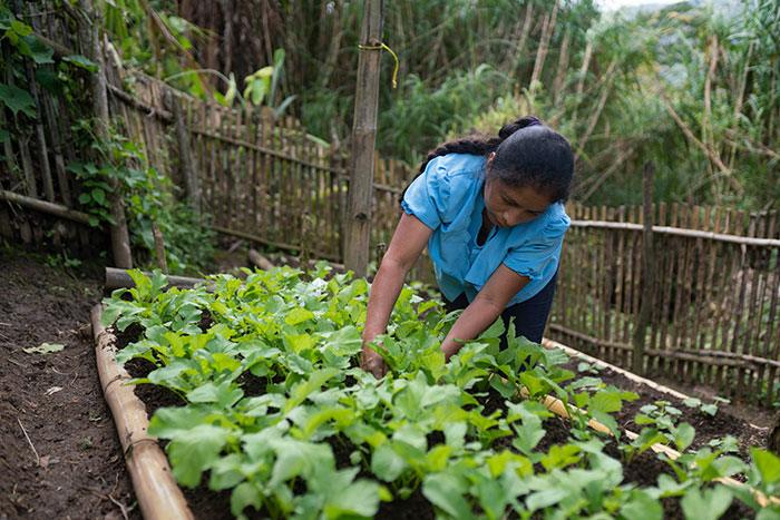Mujer cosechando hortalizas