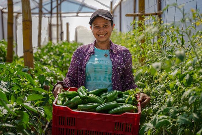Mujer sosteniendo caja de frutos recién cosechados