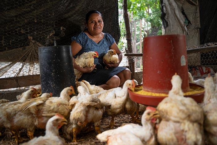 Mujer sosteniendo dos gallinas en medio de gallinero
